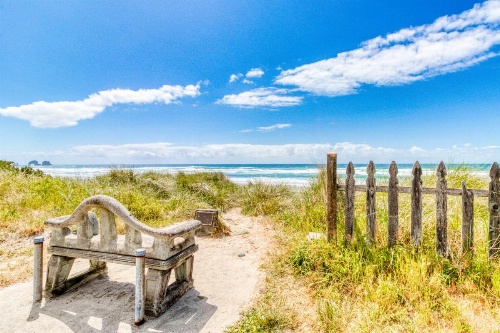 Boardwalk image 13